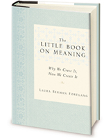 The Little Book on Meaning